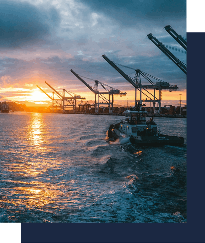 Our Investment Thesis